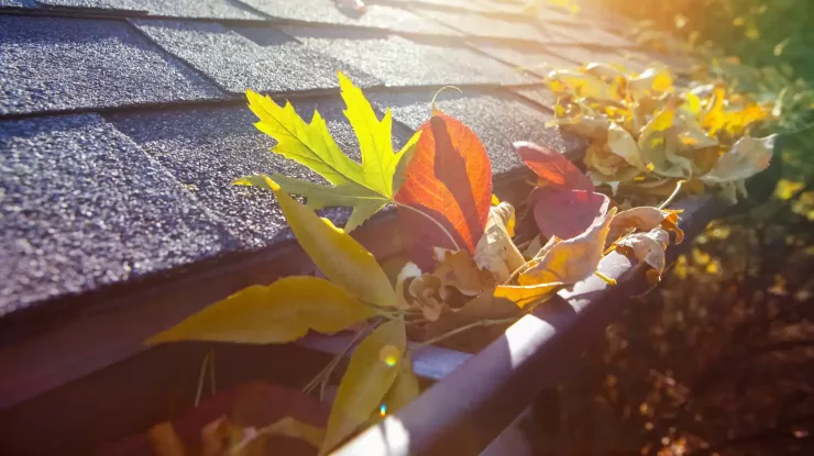 fall home maintenance tips with photo showing fall leaves clogging a gutter
